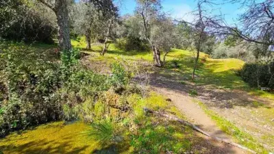 Casa Rustica en Venta Galaroza Sierra de Aracena