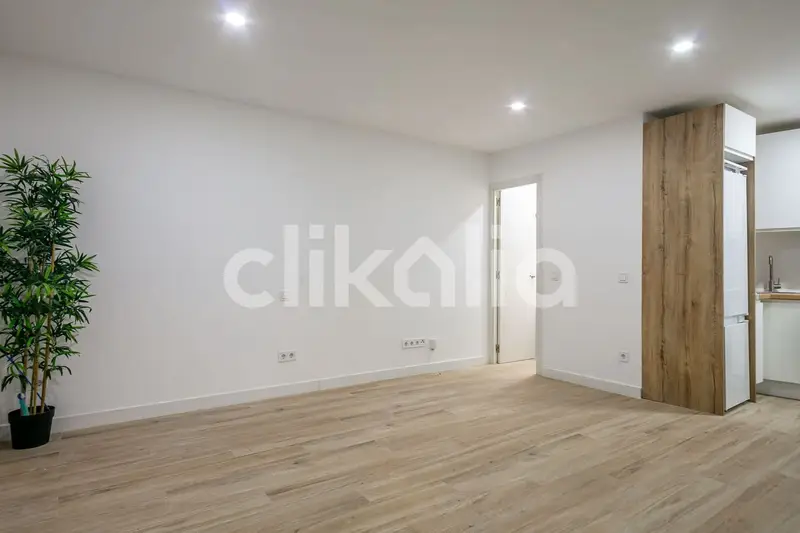 Estudio en Alquiler Lavapies Embajadores Madrid