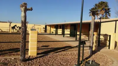 Chalet con Picadero y Piscina en Parcela de 8000m²