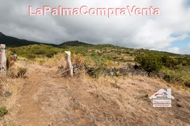 Venta Suelo Rustico 10000m2 La Villa de Mazo