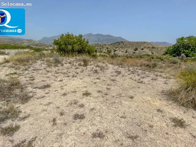 Parcela Rustica en Venta Jijona Alicante