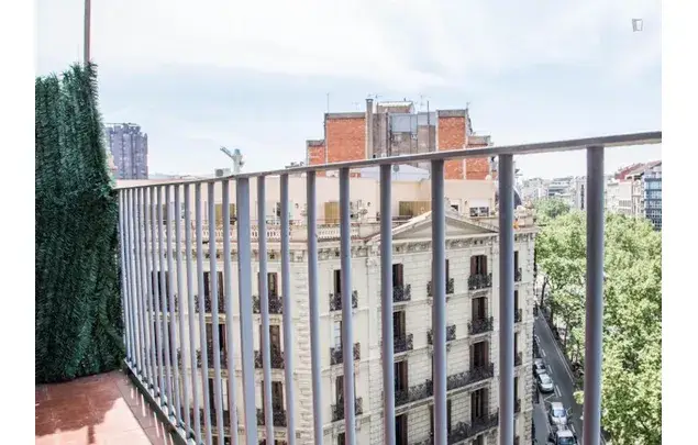 Alquiler Apartamento 6 Dormitorios Barcelona Erasmus