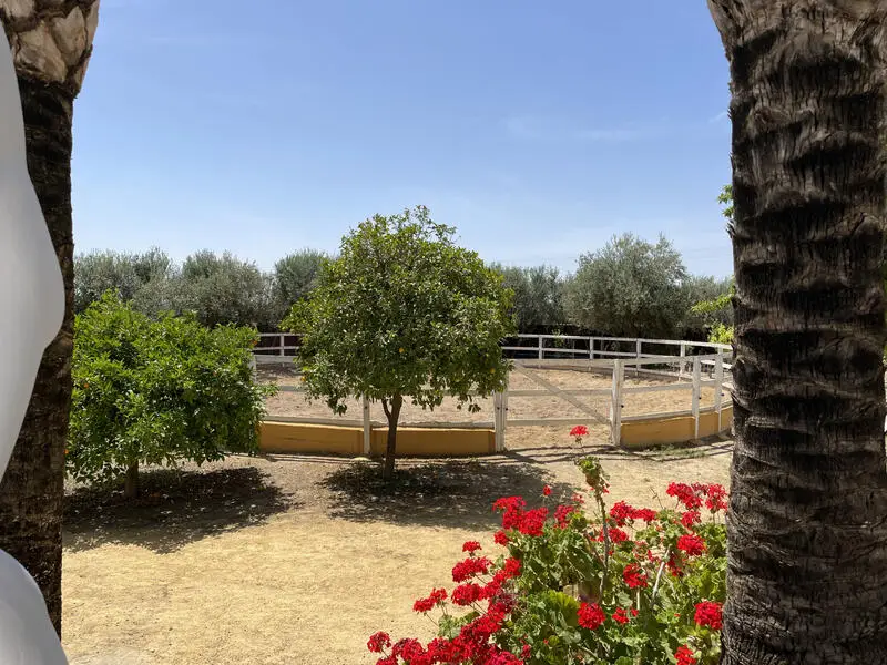 Hacienda de Lujo en Carmona con Piscina y Campo de Tenis