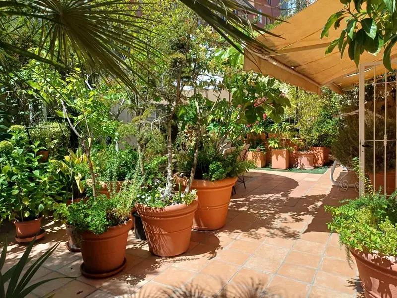 Apartamento de Lujo en Madrid El Viso 400m2 4 Dormitorios