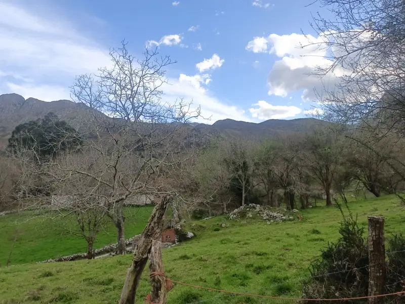 Venta Finca Rustica en Porrua Llanes 4200m2