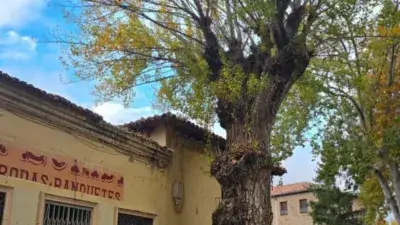 Edificio en Venta en Alameda de Siguenza: Ideal para Inversionistas