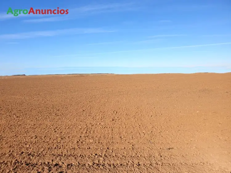 Venta  de Finca de tierra calma de regadío con nave en Badajoz