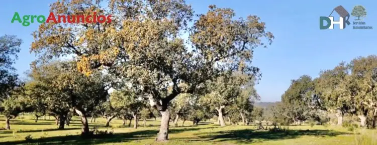 Venta  de Finca ganadera con caserío y nave en Cáceres