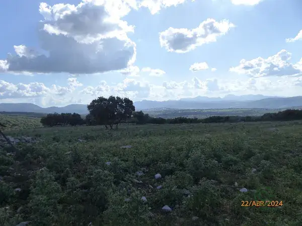Finca Rustica en Ronda 52 Hectareas