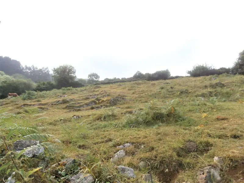 Venta Terreno Cornellana Salas 300m2 Orientacion Sur