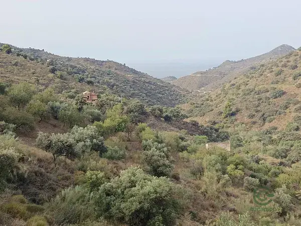 Parcela 20000m2 Vistas Bahia Malaga Cultivos Almendros Olivos
