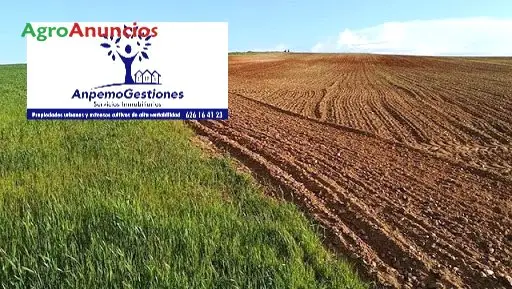 Venta  de Finca de labor de vega en Sevilla