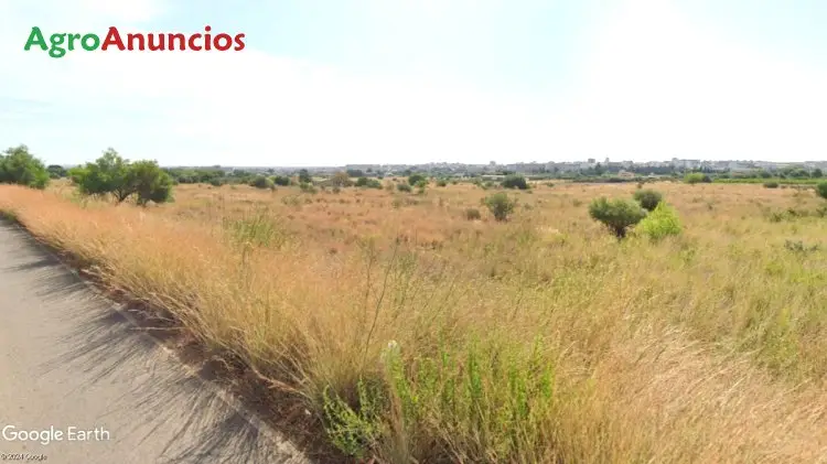 Venta  de Finca agricola junto casco urbano en Castellón