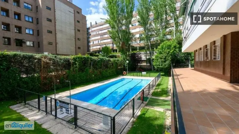 Estudio Amueblado en Madrid - Piscina - C San Martin De Porres