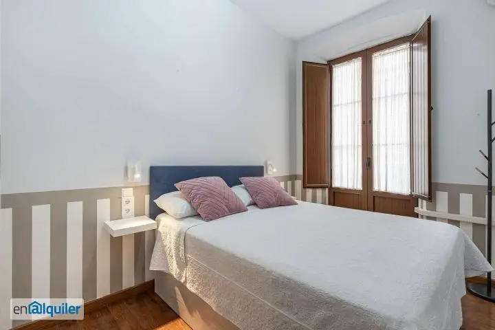 Alquiler Piso 1 Dormitorio Centro Granada