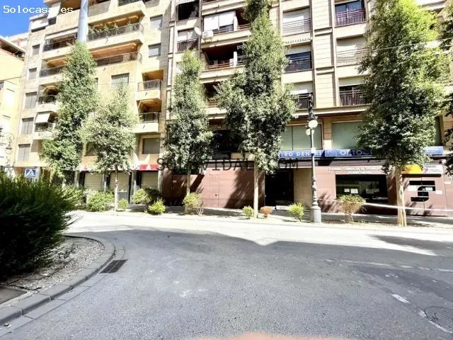 Entreplanta Oficina Centro Orihuela 149m2