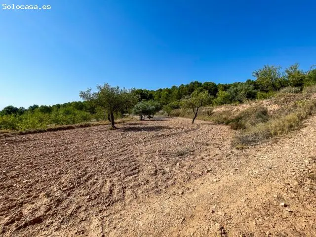 Finca Rustica en Castalla 52809m2