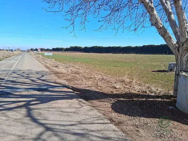 Finca Riego 4 Hectareas Albacete