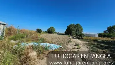 Fincas Rusticas en Venta El Alamo 6350m2