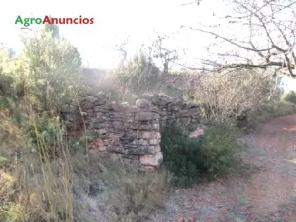 Venta  de Terreno con almendros, olivar y masia en Tarragona