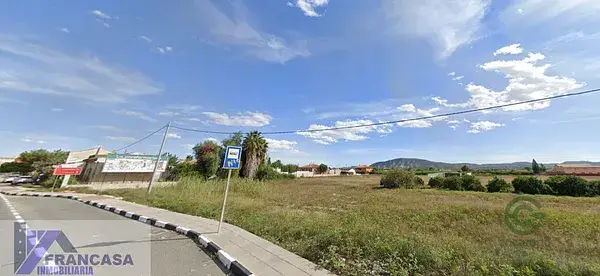 Finca Rustica Orihuela 3000m2 Regadio