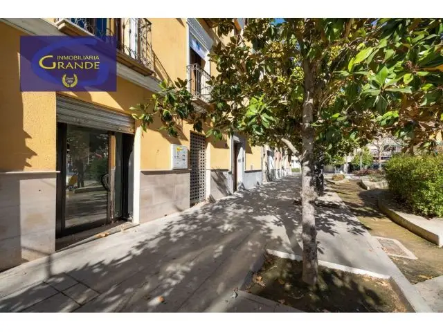 Local Comercial en Alquiler en Granada Centro