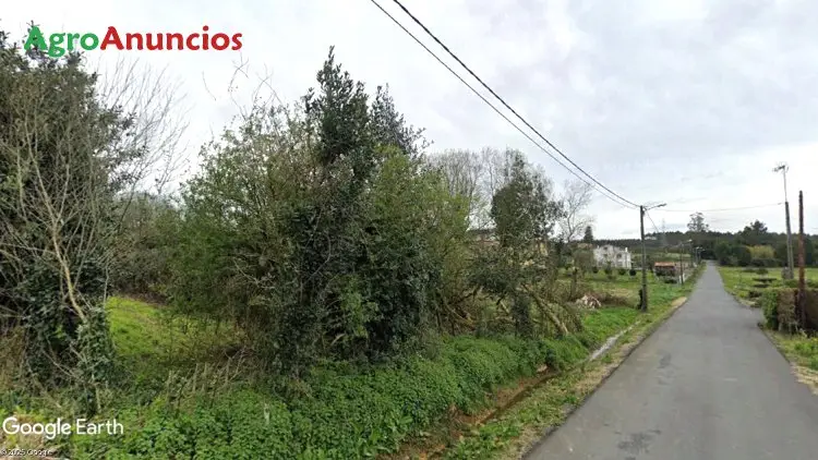 Parcela Rustica Abegondo 3560m2  Agricola Ganadera