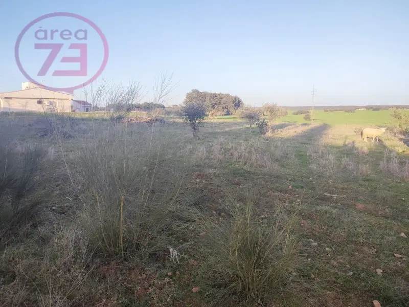 Venta Parcela Dehesilla Calamon Ref 8934