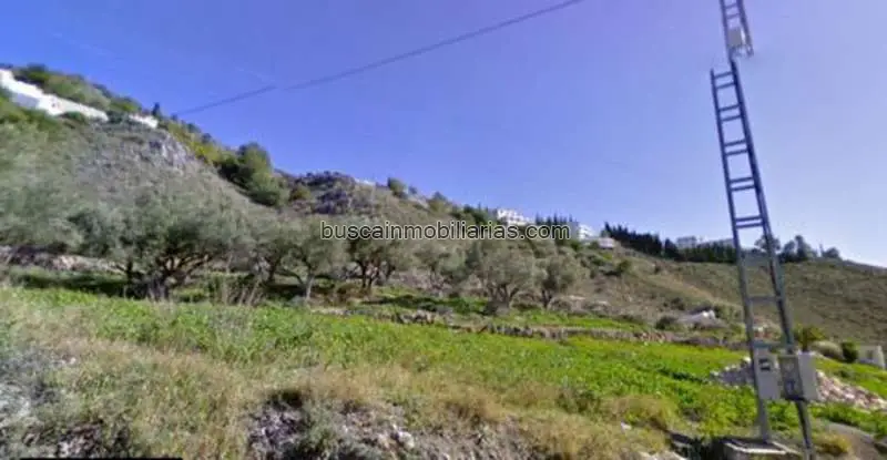 Parcela con Olivos en Frigiliana 18910m2