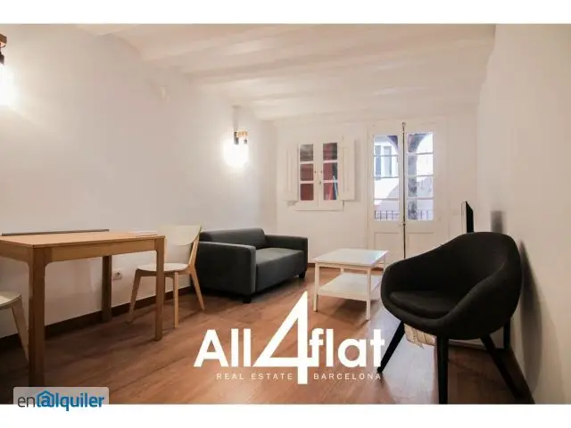Alquiler Piso Amueblado Ciutat Vella 1 Dormitorio