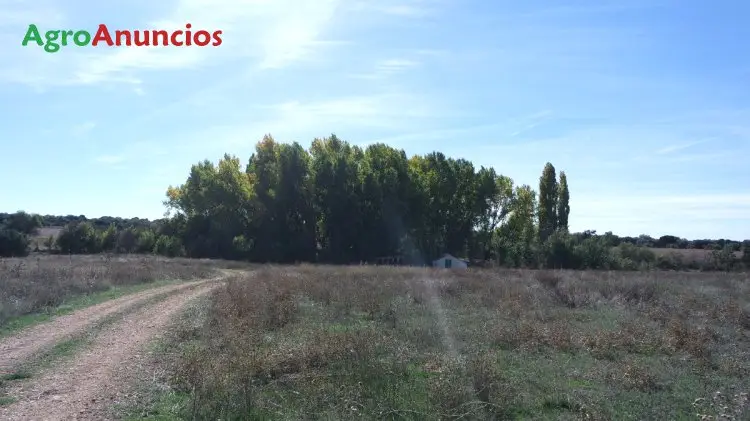 Venta  de Finca de recreo en Ciudad Real