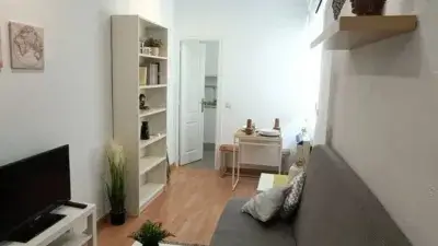 Piso en Alquiler Madrid: Calido y Acogedor cerca de Canal