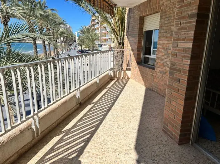 Apartamento 3 Dormitorios Torrevieja Alicante