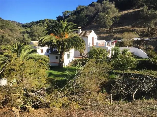 Piso de 4 Dormitorios en venta Casares, España