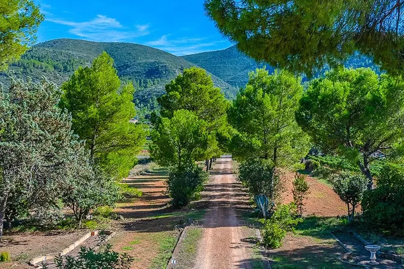 Finca Rustica en Venta Anna Valencia 600m2 56000m2 terreno