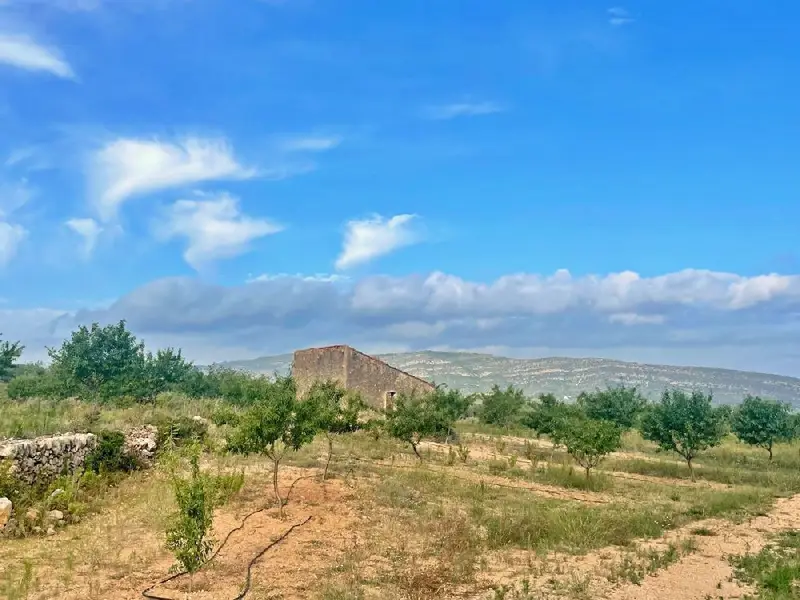 Venta Finca Freginals Ref 4756