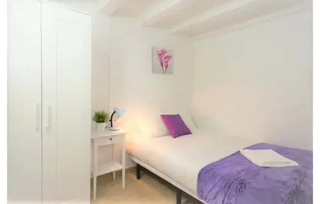 Apartamento 3 Dormitorios Barcelona Cerca Sant Antoni