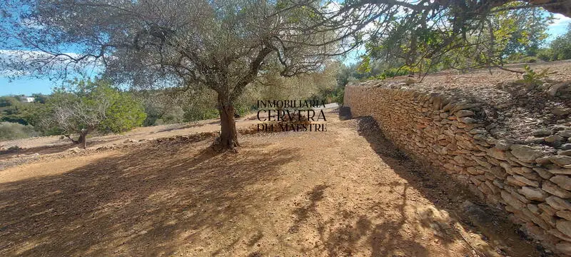 Parcela con Vistas al Mar en Vinaros