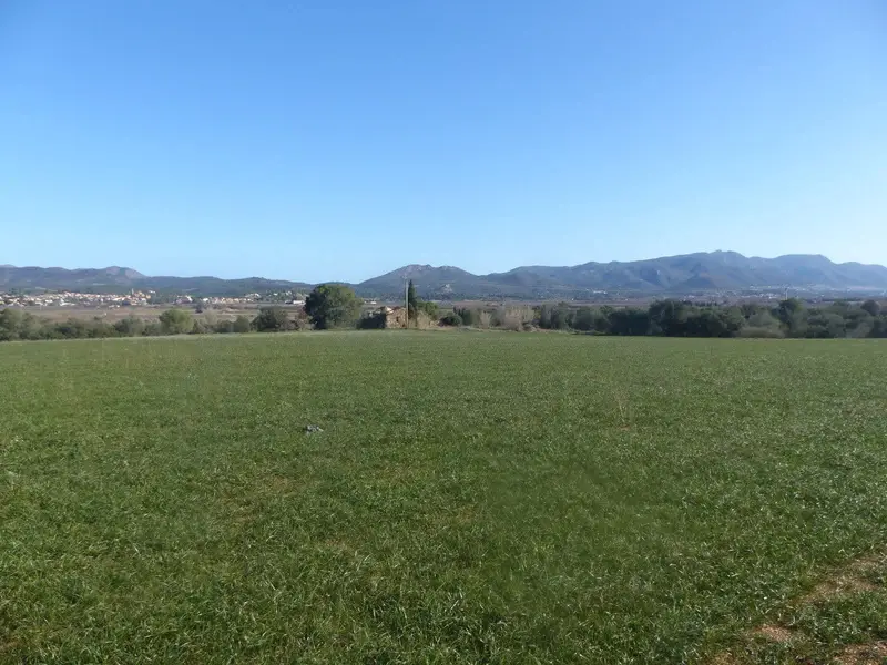 Finca Rustica 160 Hectareas Alt Emporda Dos Masías