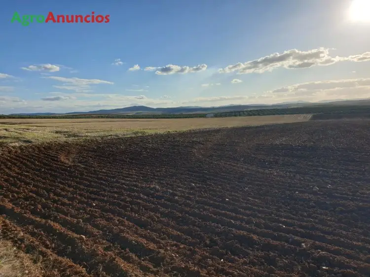 Venta  de Finca de tierra calma en Badajoz