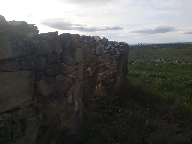Venta Finca 4000m2 Aspa Almendros Riego