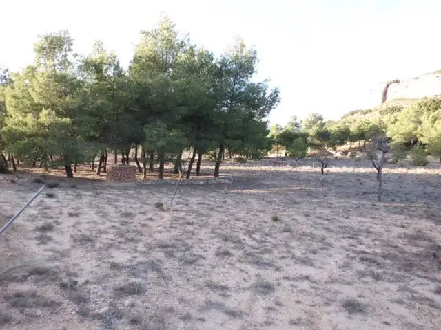 Terreno Rustico en Venta Almansa 14000m2