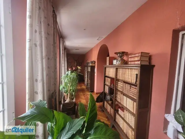 Alquiler casa terraza Casco antiguo - centro