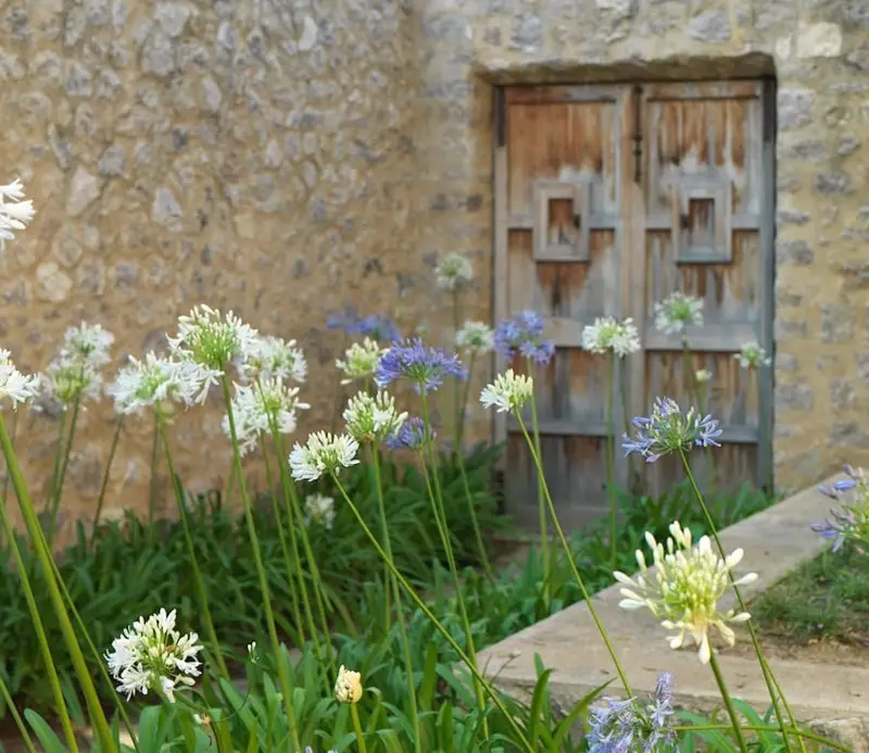 Finca/Casa Rural en alquiler en Artà, Mallorca