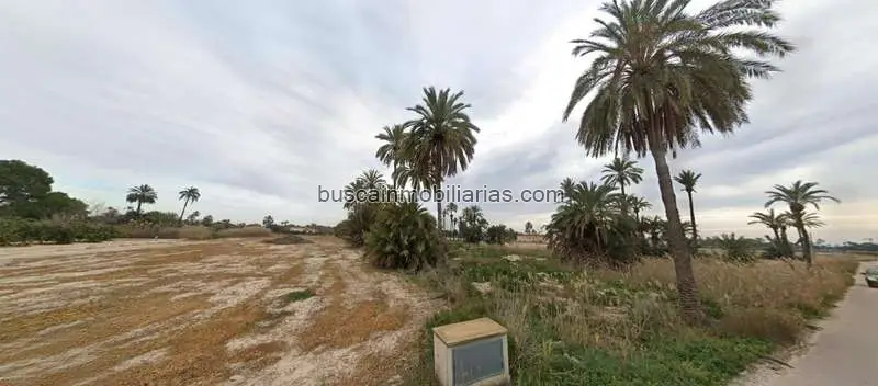 Parcela Rustica en Venta Elche La Hoya