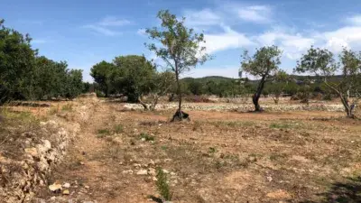 Casa rústica en venta en Roda de Bera