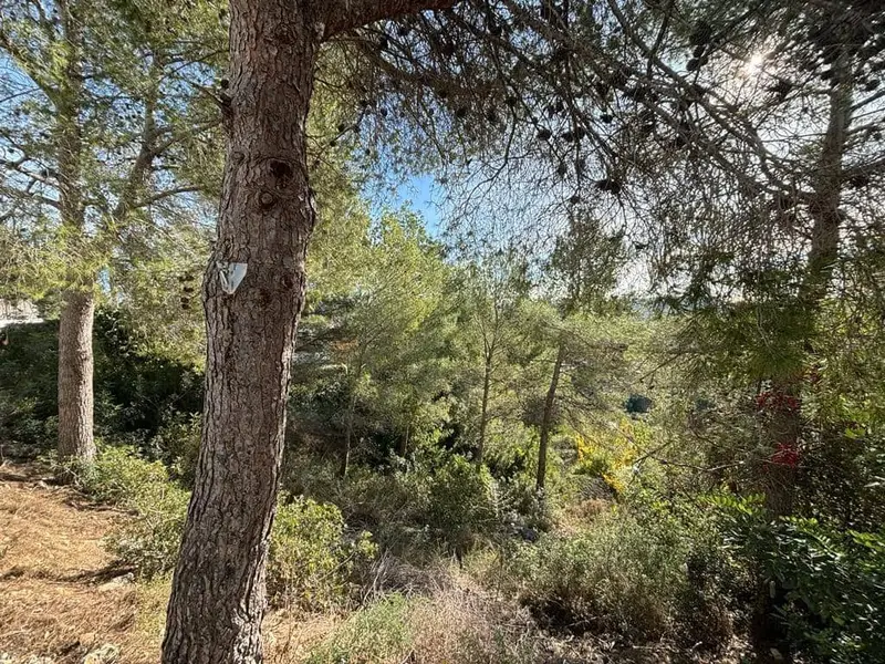 Parcela en Venta Olivella Barcelona 793m2