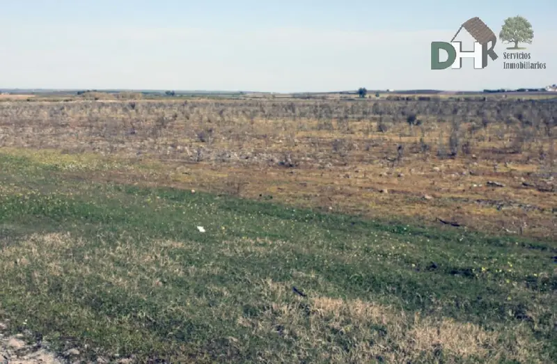 Venta Finca Rustica Regadio 43 5 Hectareas Badajoz
