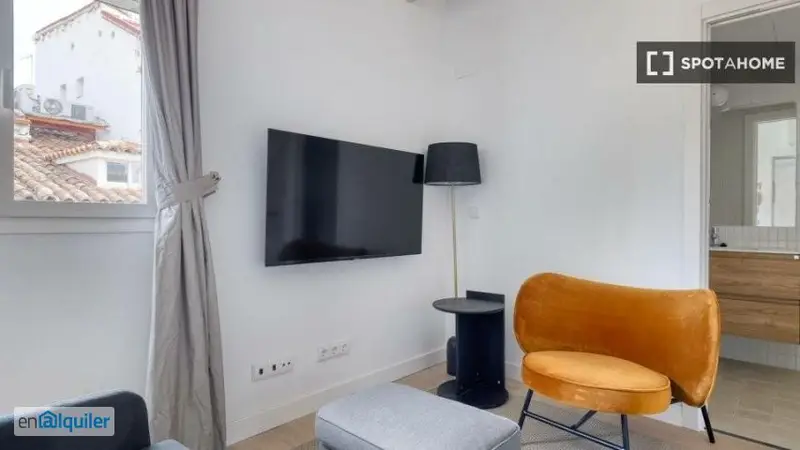 Apartamento 1 Dormitorio Madrid Amueblado