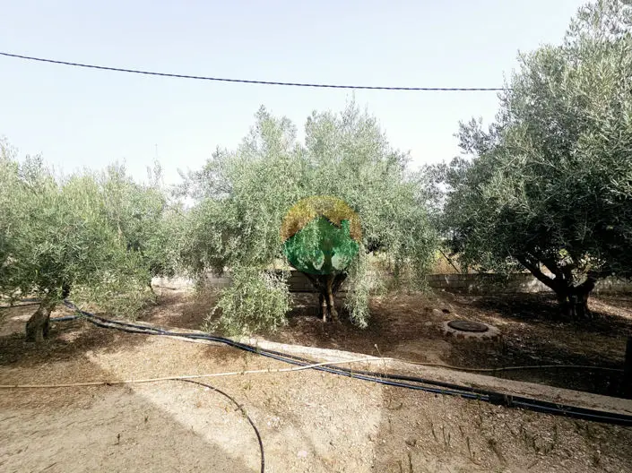 3 Bed Villa for sale